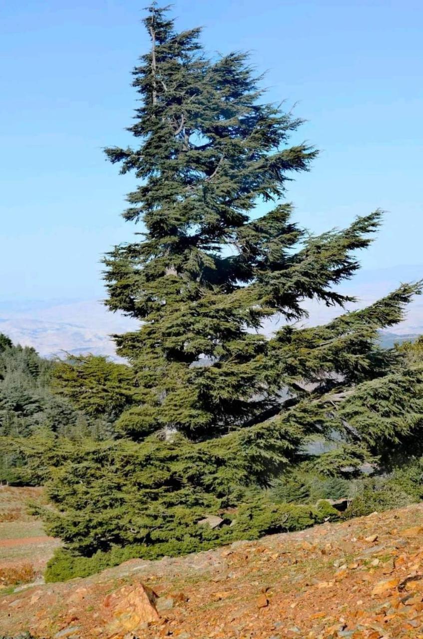 Gite Dayet Chiker تازة المظهر الخارجي الصورة